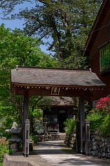 DSCF0379