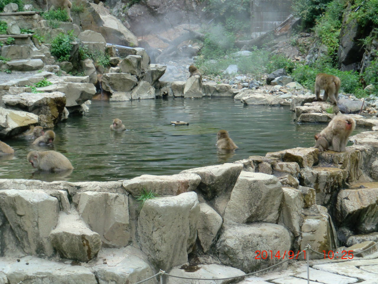 PO20140902_0070