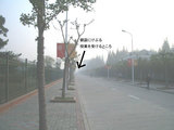 2004102103