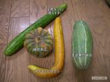 2004080407