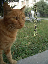 2004102101