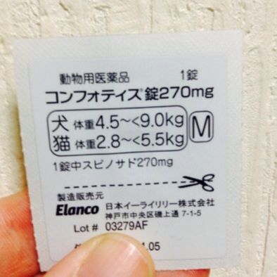 画像1