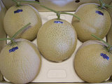 f3c33f62.jpg