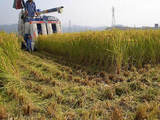 f707ff39.jpg