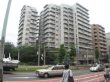 早稲田