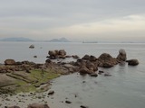 DSC3-07695