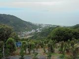 DSC2017-07219