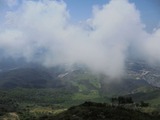 DSC2016-07449
