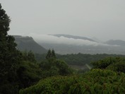 DSC2017-07062