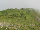DSC2016-07455