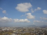 DSC3-07739