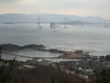 DSC3-07835