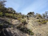 DSC3-07638