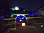 DSC2018-_1492