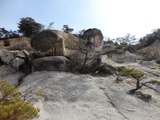 DSC3-07669