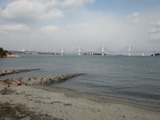 DSC3-07817
