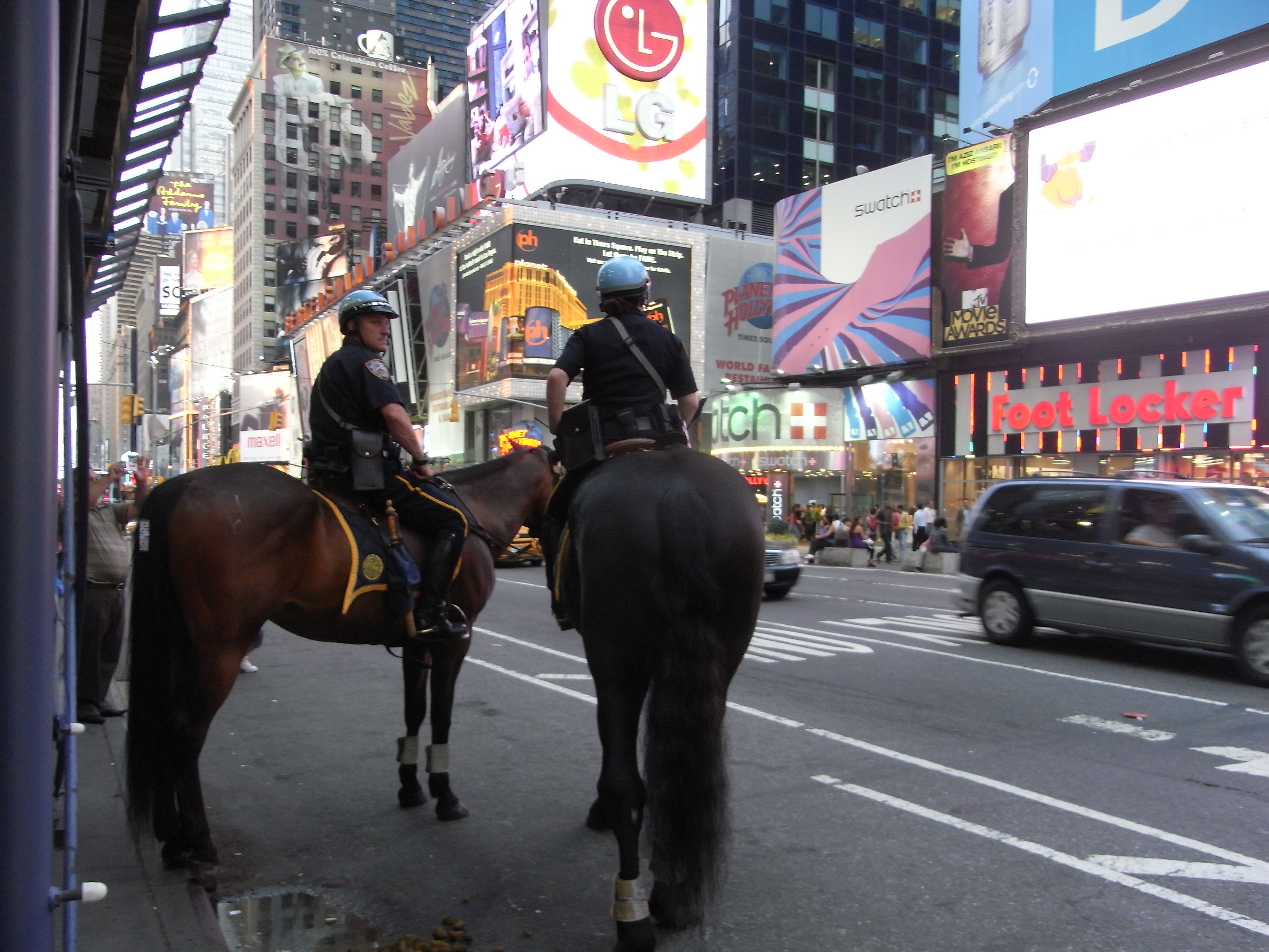 アメリカnyの騎馬警官がかっこいい 騎馬警官になるには