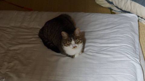 DSC09200