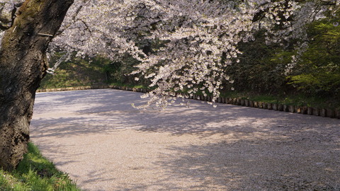 DSC02399