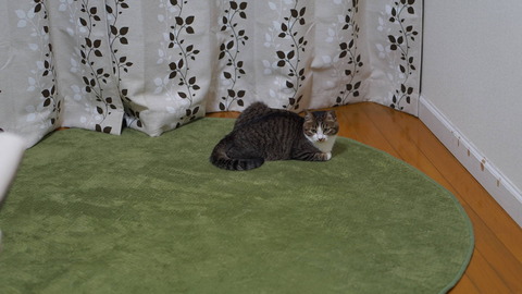 DSC09034