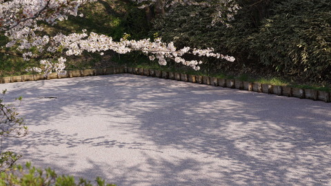 DSC02404