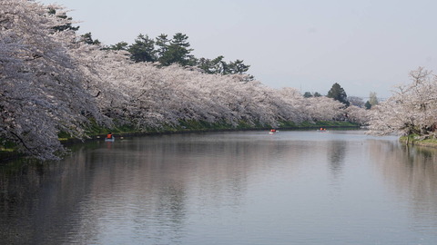 DSC02448