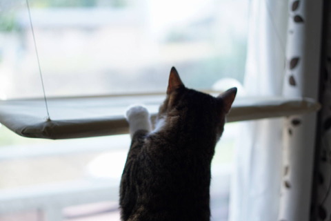 DSC05019