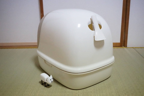 後ろ