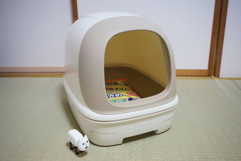 前
