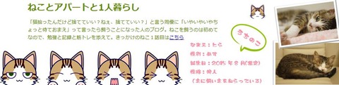 ヘッダー