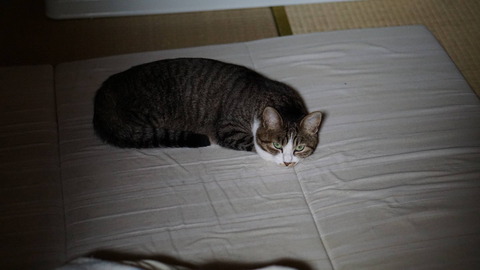 DSC09901