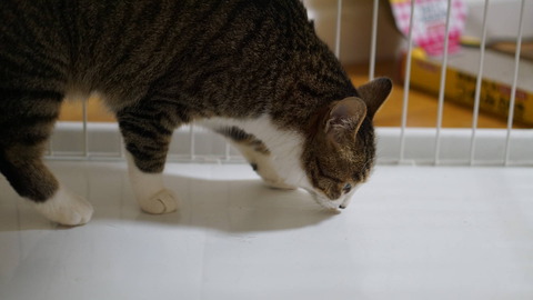 DSC09187