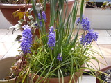 2009_0331_004345-IMGP0010