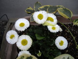 2009_0331_071224-IMGP0024