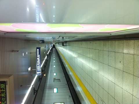 2039a597.jpg