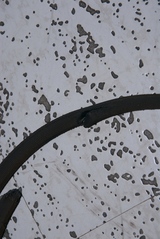���ʡ����ȡ����������꡼�󡡥��������������ʵ�����20070820-4