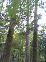 2f98f381.jpg