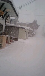097d0373.jpg