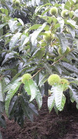 7305d0ae.jpg