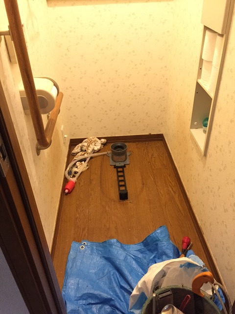 20170911_031159513_iOS