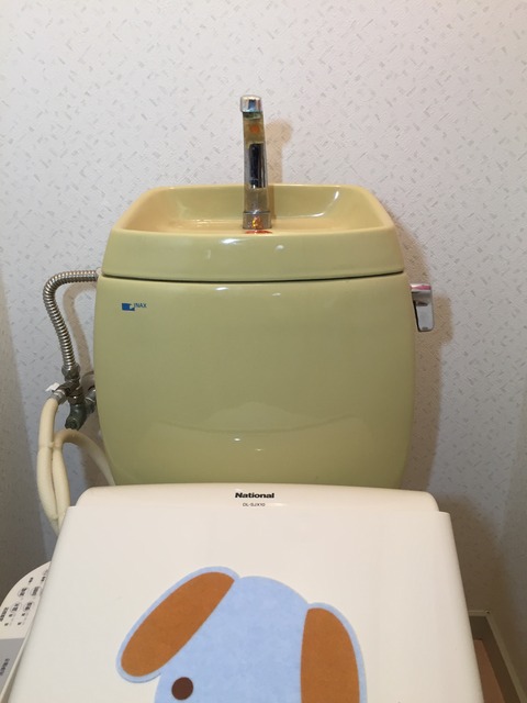 20170911_060554738_iOS
