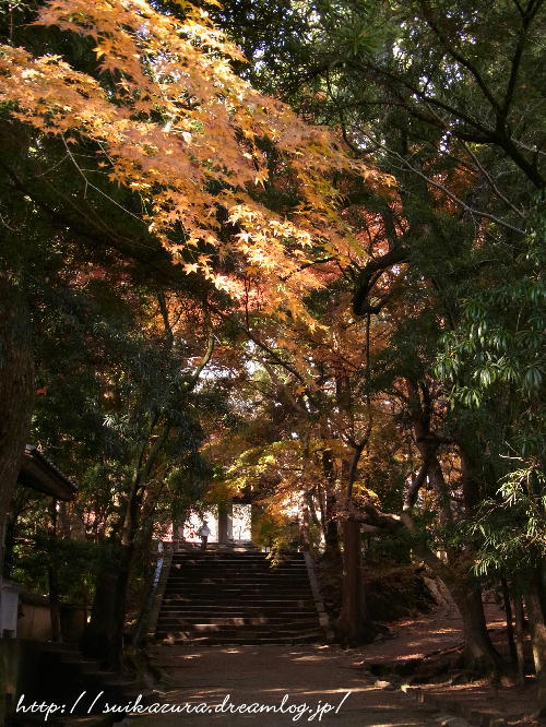 功山寺紅葉5