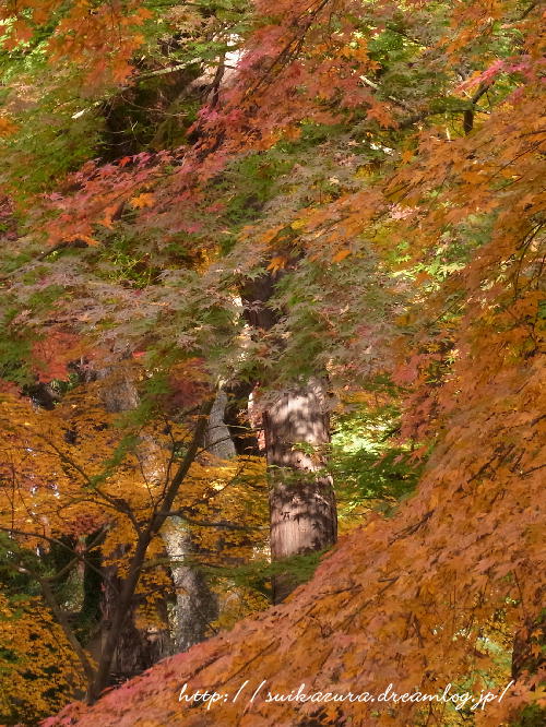 功山寺紅葉4