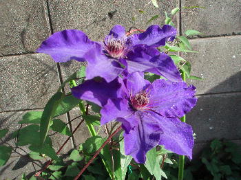100f6618.jpg