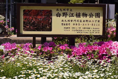 門司港2017