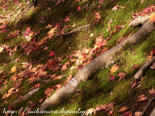 功山寺紅葉8