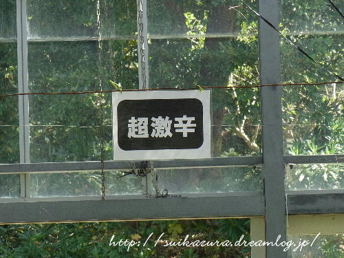 超激辛