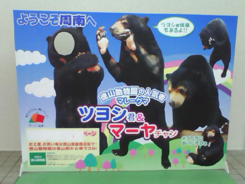ツヨシ君