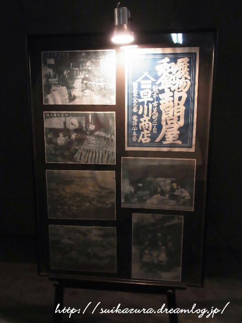 mt 熊本7