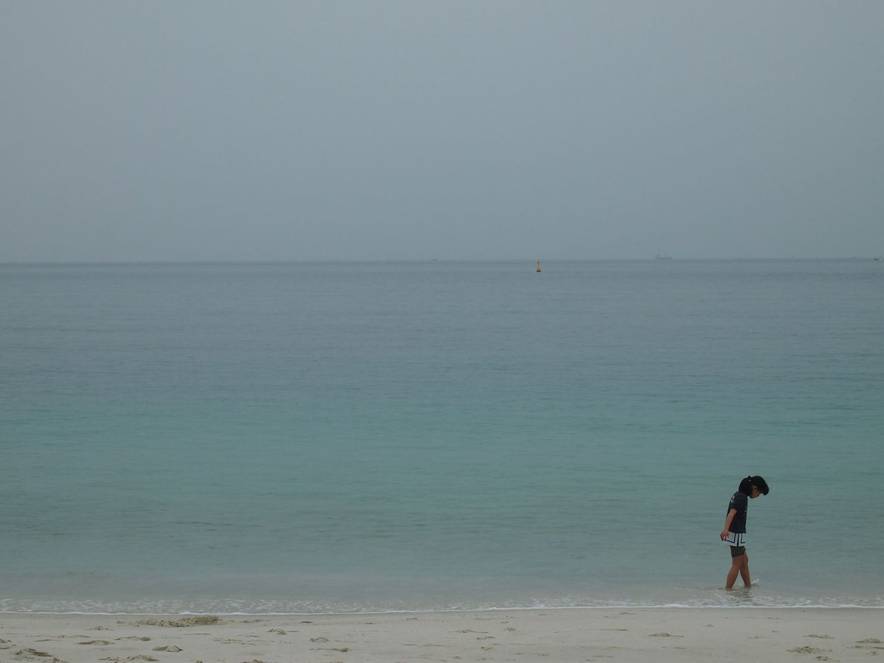P3244789_R